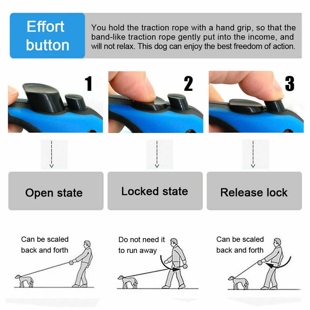 Durable and comfortable dog leash for large breeds - Pawverly Pets, "Cozy orthopedic pet bed for small to medium - sized dogs - Pawverly Pets, "Shop premium pet accessories at Pawverly Pets"