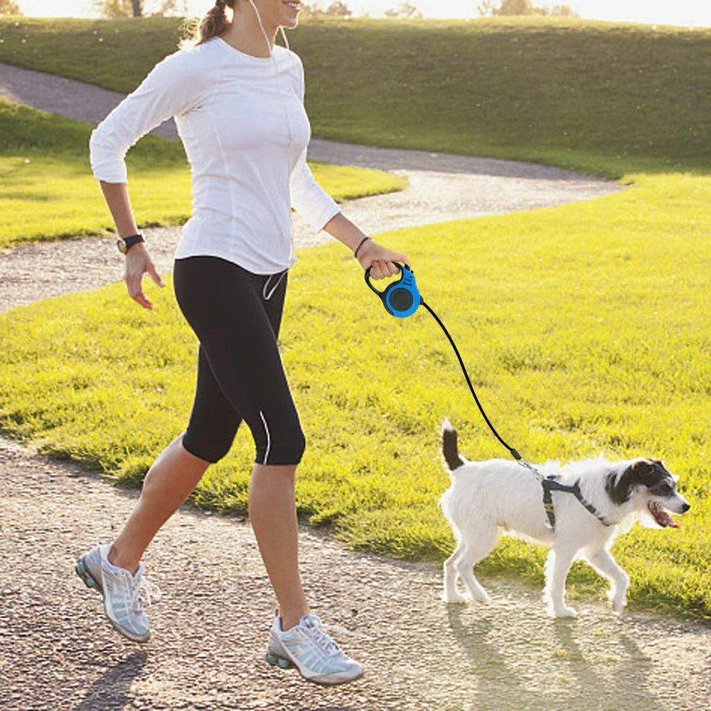 Durable and comfortable dog leash for large breeds - Pawverly Pets, "Cozy orthopedic pet bed for small to medium - sized dogs - Pawverly Pets, "Shop premium pet accessories at Pawverly Pets"