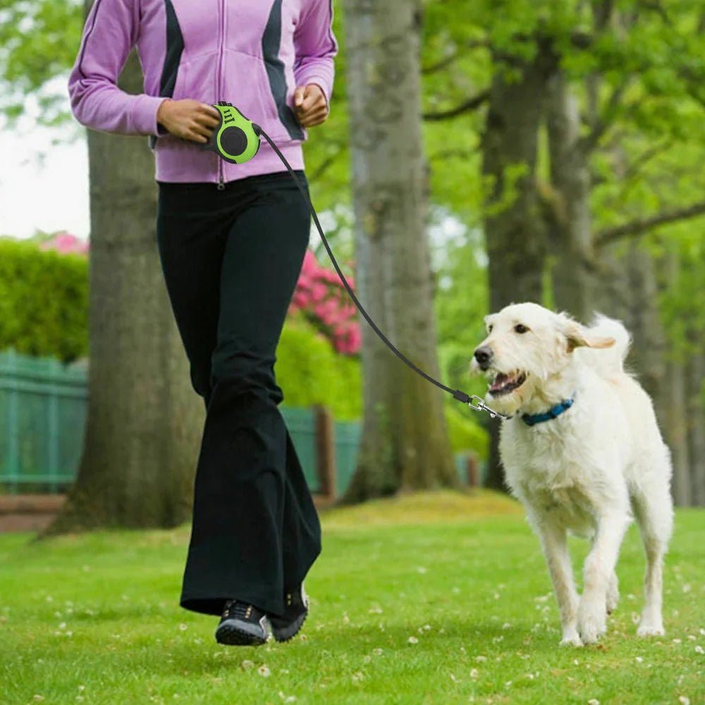 Durable and comfortable dog leash for large breeds - Pawverly Pets, "Cozy orthopedic pet bed for small to medium - sized dogs - Pawverly Pets, "Shop premium pet accessories at Pawverly Pets"